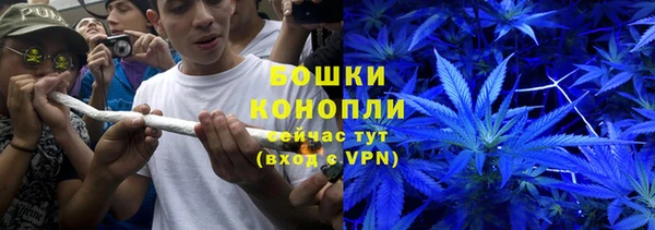 шишки Богданович